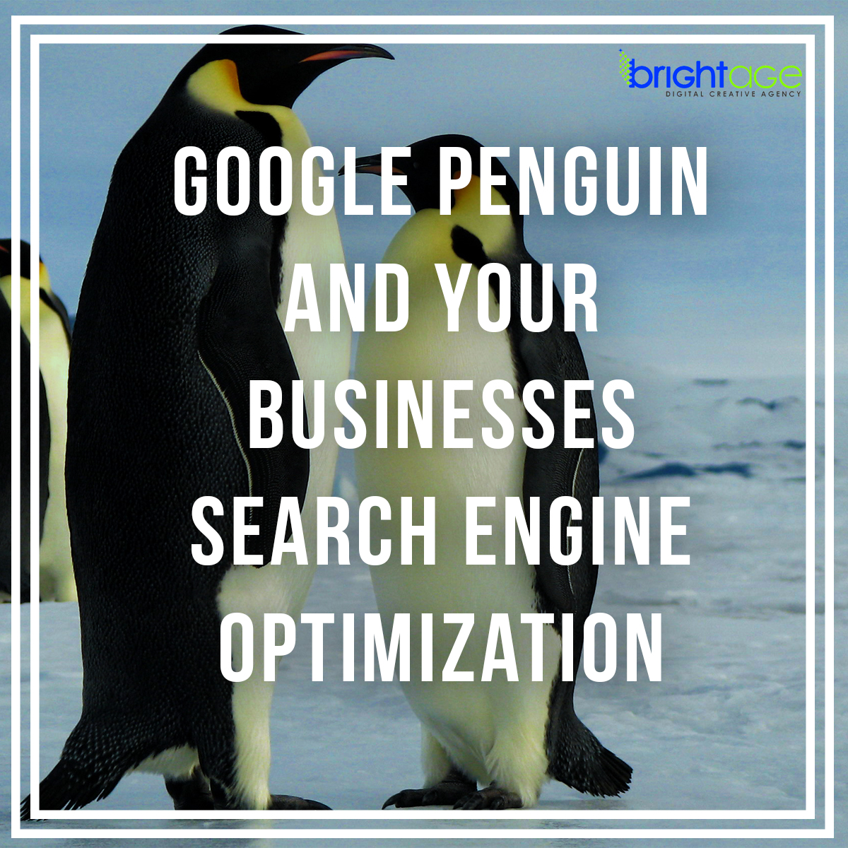 Google Penguin And Your Businesses Search Engine Optimization