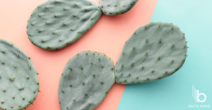 white paper effective instagram strategy grow brand