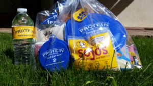 Protein for Pets Case Study