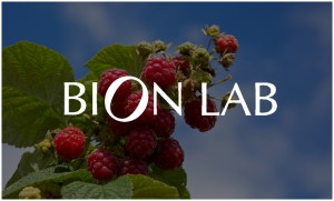 responsive website design for bion labs