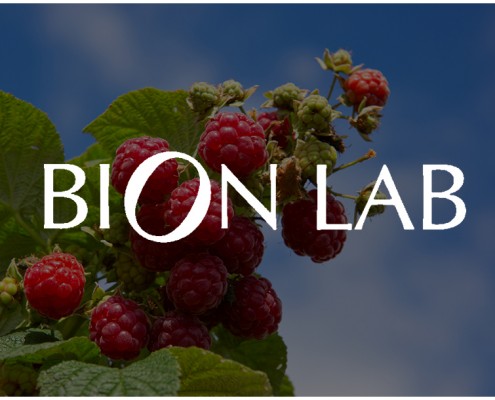 responsive website design for bion labs