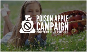 responsive website design for poison apple