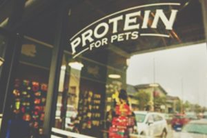 case study for client pet food