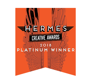 social media award - hermes - bright age