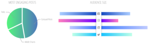 Market Research Competitive Analysis pie chart and graph of posts and audience