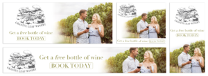 digital media buying winery google ads