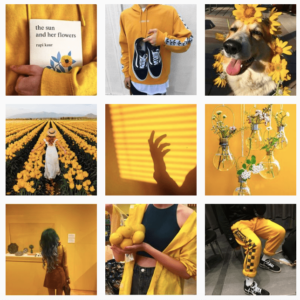 aesthetically pleasing Instagram grid to show how to boost your brand