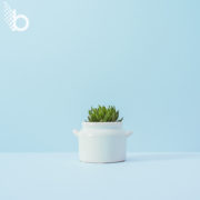 featured blog image for social media marketing agency build brand awareness through social