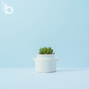 featured blog image for social media marketing agency build brand awareness through social
