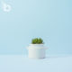 featured blog image for social media marketing agency build brand awareness through social