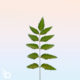 Featured blog image for Starting From Zero Tips for Companies that are Just Starting to Utilize the Power of Digital Marketing