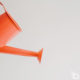 social media marketing agency - effective ways to increase ROI