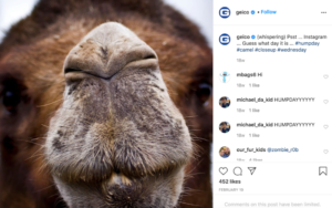 Instagram screenshot of Geico post to show example of brand personality via social media management
