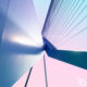 Featured blog image for Social Media Management How to Establish Your Brand
