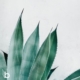 featured image for bright age blog social media agency grow presence