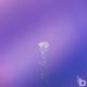 featured blog image for The Benefits of Social Media Reputation Management