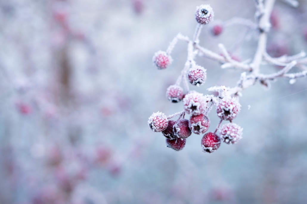 Influx of Messages in Winter Months Image Image for Influx of Messages in Winter Months Section